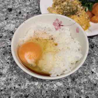 2026年9月11日に食べたTKG写真のサムネール