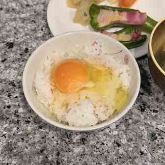 2026年4月2日に食べたTKG写真のサムネール